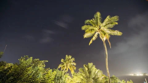 Night Sky Stars. Coconut Tree Palm On Background Of Natural Starry Sky Time Lap Stock Footage 341184704