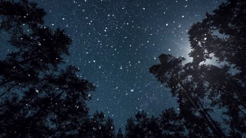 Night sky, Stars, Time-Lapse Stock-Footage 277280879