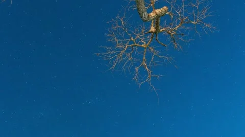 Night Sky Time Lapse Stock Footage 48405751