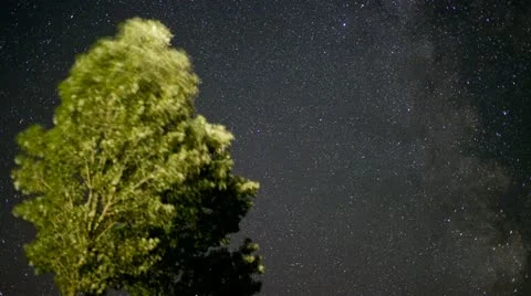 Night sky time lapse of Perseid Meteor shower Stock Footage 11631596