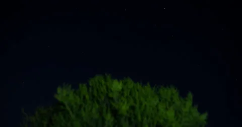 Night sky time-lapse on top of green tree Stock Footage 136494661