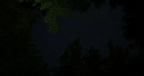 Night sky time-lapse on top of green tree Stock Footage 136494980