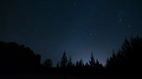 Night Sky Time Lapse with Tree Silhouette Stock Footage 37531836