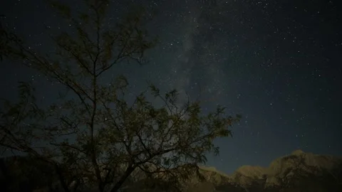 Night Sky Time Lapse Of A Tree With The Milky Way Moving Behind A Mountain Stock Footage 145319534