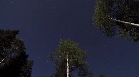 Night Sky Time Lapse - Trees Stock Footage 52188304