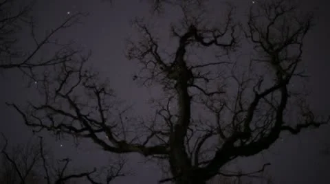 Night sky TimeLapse 스톡 동영상 11895004