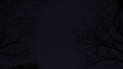 Night sky Timelapse Video stock 83004407