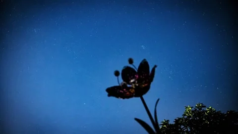 Night Sky Timelapse 스톡 동영상 180544244
