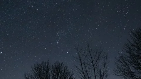 Night sky timelapse Video stock 258798033