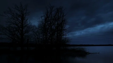 Night sky timelapse. Moon light. Ocean and lake and dark trees. Stock Footage 99058896