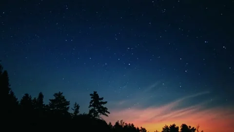 Night sky timelapse, starry forest view, twilight sky motion Stock Footage 311619185
