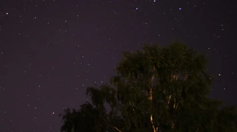 Night sky timelapse with tree in the foreground Stock Footage 53748592