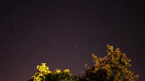 Night sky timelapse with tree in the foreground Stock-Footage 53748884