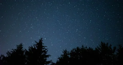 Night sky timelapse with trees 4K Stock Footage 134718510