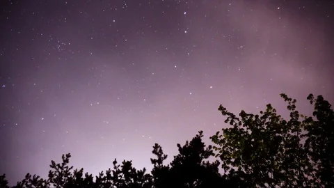 Night sky timelapse with trees against stars 스톡 동영상 91769293