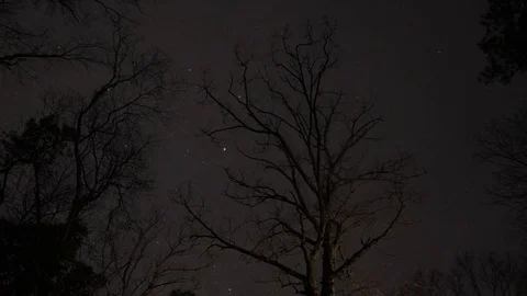 Night Sky Timeplase Stock Footage 83004729