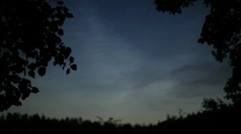 Night Sky With Tree Leafs Stock Footage 8837756