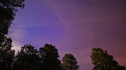 Night Sky with Trees and Clouds Timelapse in Arizona, time change, trees, stars Stock Footage 99673011