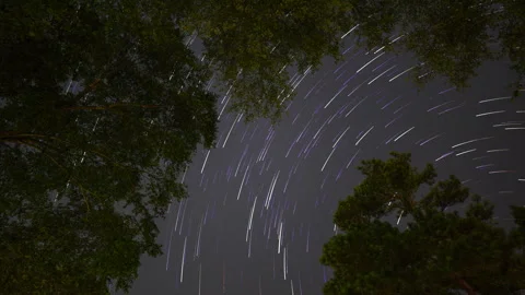 Night Sky Trees and Star Trails Zoom Out Stock Footage 246748691
