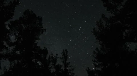 Night Sky with Trees Stockbeeldmateriaal 7139690