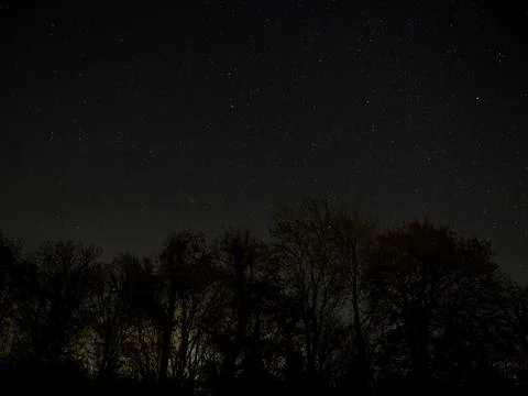 Night Sky with Trees Stock Photos