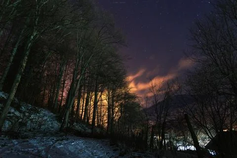 Night sky view in the forest Stock Photos