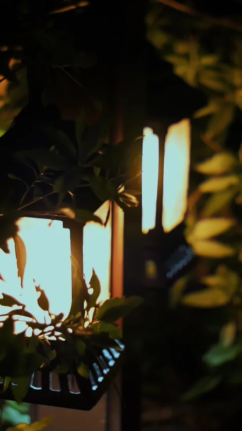 Night, small lanterns shine in the bushes, Small Solar Garden Light, Lanterns In Stock Footage 309448380