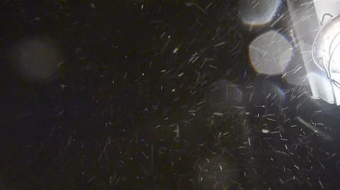 Night Snow Fall Stock Footage 8777634