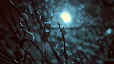 Night. Snow falls in slanting flakes on the branches of trees Stock Footage 134954050