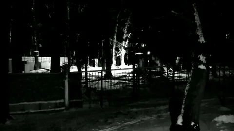 Night Snow Stock Footage 83690970