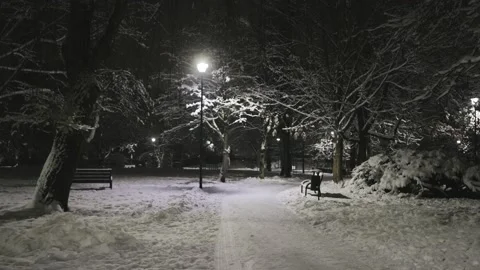 Night in the Snow Park Stock Footage 228753426