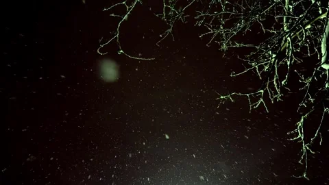 Night snowfall on the background of the sky Stock Footage 257381840
