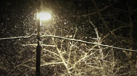 Night snowfall Stock-Footage 8620880