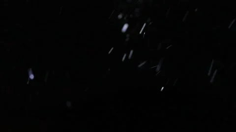 Night. Snowfall. Stock Footage 145600248