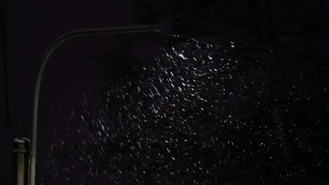 Night snowfall Stock Footage 169235994