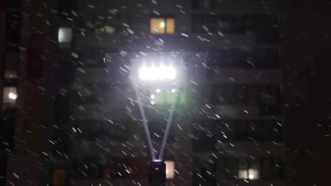 Night snowfall in light of lantern Stock Footage 82303242