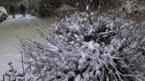 Night snowfall in London. Stock Footage 225416054