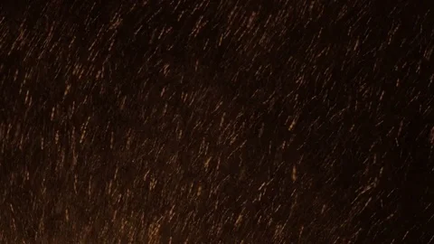 Night snowstorm with strong wind Stock Footage 80054954