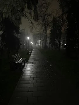 Night square 库存照片