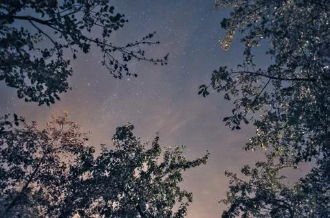 Night star sky Stock Photos