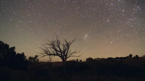 Night star time lapse with a tree featured Stock Footage 56295105