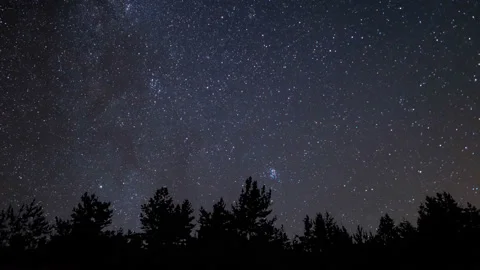 Night starry sky above forest silhouette Stock Footage 150682452