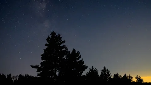 Night starry sky above forest silhouette Stock-Footage 160912830