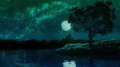Night starry sky, river and tree landscape Stock Footage 339244978