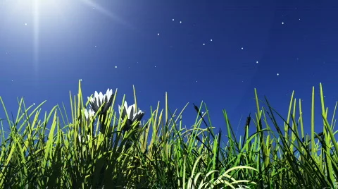 Night stars Video stock 709218