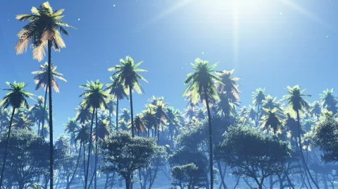 Night stars Video stock 709237
