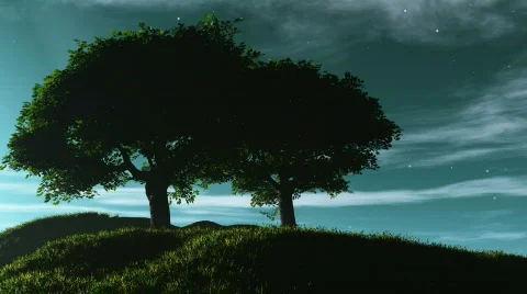 Night stars Video stock 709306