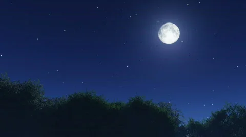 Night stars Stock Footage