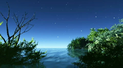 Night stars Video stock 709359
