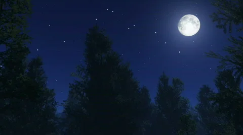 Night stars Vidéo 709380